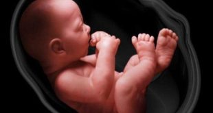 هل ما نشعر به اليوم مرتبط بما اختزنه "الجنين" في بطن أمه؟ .. الإجابة صادمة