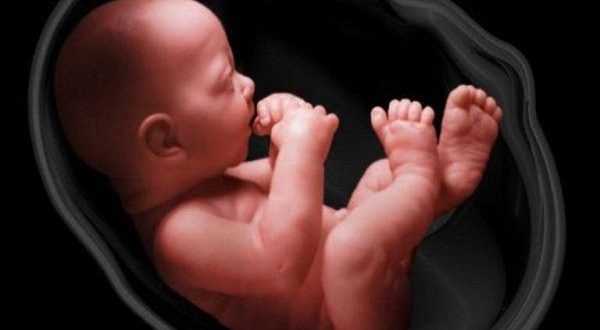 هل ما نشعر به اليوم مرتبط بما اختزنه "الجنين" في بطن أمه؟ .. الإجابة صادمة