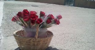 "طفل يبيع الورد ويكتب الشعر: عندما يُزهر الأمل على الأرصفة"