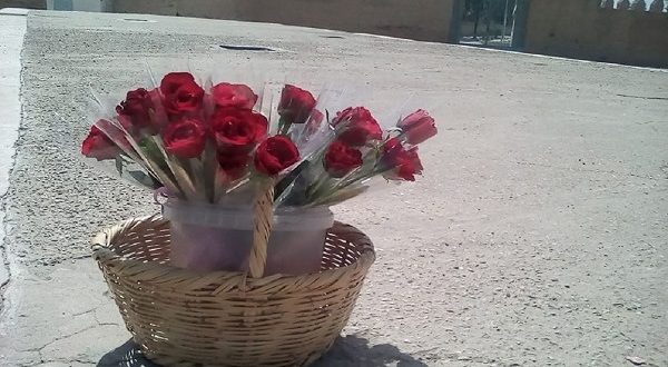"طفل يبيع الورد ويكتب الشعر: عندما يُزهر الأمل على الأرصفة"