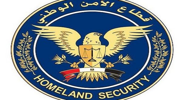 امن دولة