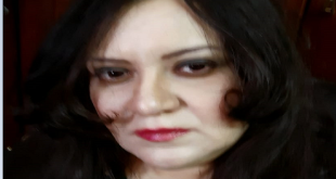 امن دولة