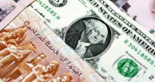  الدولار في مصر 2025: "السعر مستقر.. لكن السوق غير مطمئن"