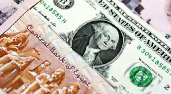  الدولار في مصر 2025: "السعر مستقر.. لكن السوق غير مطمئن"