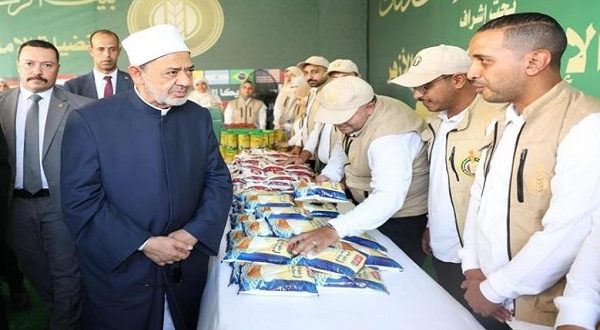 الشيخ أحمد الطيب يتفقد قافلة غزة