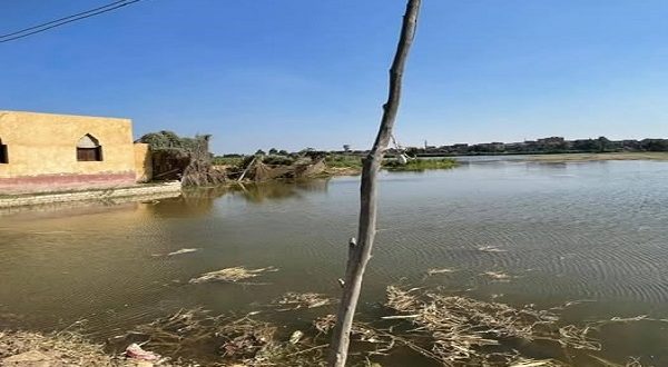 عاجل من محافظ المنوفية: إخلاء فوري لأراضي طرح النهر والمنازل المجاورة للنيل