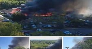 صدمة الهالوين: الـFBI يسقط شبكة إرهابية في قلب ميشيجان