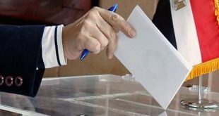 بدوي: لا "أوراق مراقبة" في الانتخابات المصرية.. انفتاح كامل للجميع