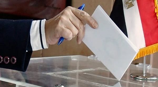 بدوي: لا "أوراق مراقبة" في الانتخابات المصرية.. انفتاح كامل للجميع