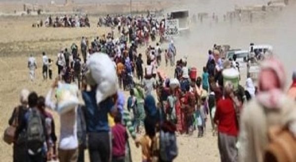 مصر تدخل جرافات إغاثية إلى غزة لإنشاء أكبر مخيم نازحين بالبريج