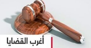 أغرب 3 جرائم عنيفة هزت مصر في 2025: بين الوحشية والغرابة