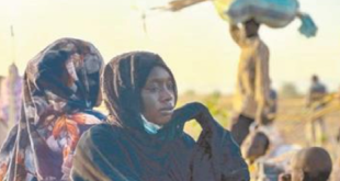 مصر تندد بالانتهاكات في دارفور: عبد العاطي يدعو لواشنطن والأمم المتحدة