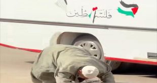 عدالة الشارع تنتصر: القبض على كمساري أسقط عم فوزي في المنصورة