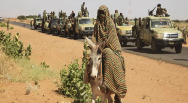 شبكة أطباء السودان توثق 32 حالة اغتصاب في الفاشر...مطالبة بتحقيق دولي عاجلأ