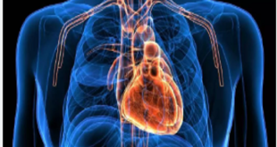 تحذير عاجل من أطباء القلب: انسداد الشرايين يتراكم سراً.. 7 خطوات لإنقاذ قلبك