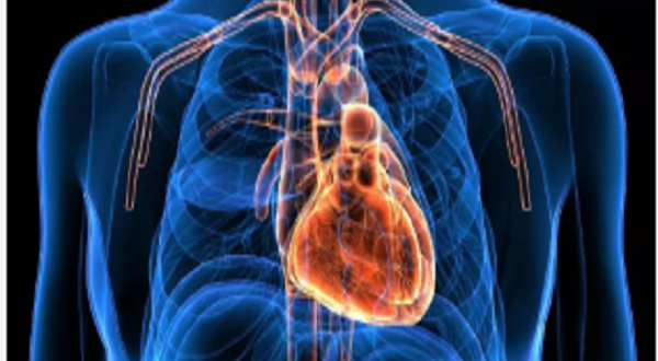 تحذير عاجل من أطباء القلب: انسداد الشرايين يتراكم سراً.. 7 خطوات لإنقاذ قلبك