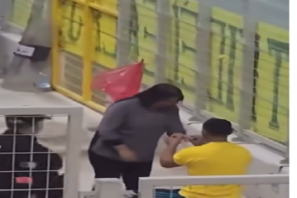 طلب زواج جريء في مدرجات شبيبة القبائل: فيديو يثير إعجاباً وانتقادات في الجزائر ⭕⭕الشيخ أحمد ترك، أمين اللجنة الدينية بمجلس الشيوخ، قال إن مصر عبر التاريخ كانت منبع الخير والعطاء،.