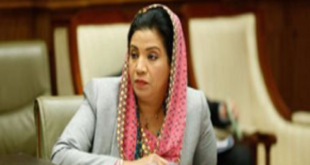 نشوى الديب تنسحب من سباق النواب: "غياب النزاهة يجعل المشاركة شكلية"