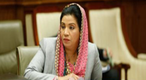 نشوى الديب تنسحب من سباق النواب: "غياب النزاهة يجعل المشاركة شكلية"