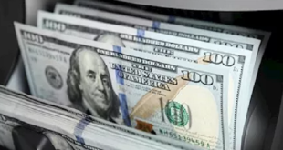 استقرار ملحوظ... الدولار يحافظ على مستوياته دون 48 جنيهًا