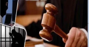 منظومة الجرائم