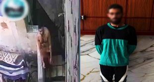 خلافات زوجية وميراث... الداخلية تكشف ملابسات حادثين عنف في القاهرة والشرقية