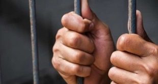 المؤبد لمدرس قتل طليقته طعناً داخل مدرسة بالغردقة