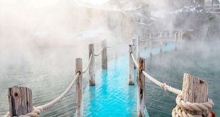 فخ الينابيع الوهمية".. هلوسة الذكاء الاصطناعي تورط السياح في غابات أستراليا