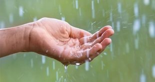 سُنّة تحت المطر