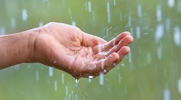 سُنّة تحت المطر