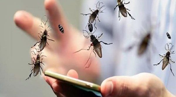 "تغير المناخ والقمامة" وراء غزو الذباب للقاهرة والجيزة وخبير يحذر من "انفجار صيفي"