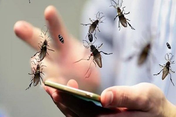 "تغير المناخ والقمامة" وراء غزو الذباب للقاهرة والجيزة وخبير يحذر من "انفجار صيفي"