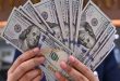 استقرار "الأخضر": ثبات سعر الدولار في البنوك المصرية بمستهل تعاملات الاثنين
