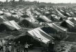 من "وعد بلفور" إلى مقصلة "الخطة دالت".. محطات الدم والنار التي هندست نكبة فلسطين عام 1948