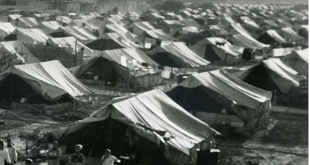 من "وعد بلفور" إلى مقصلة "الخطة دالت".. محطات الدم والنار التي هندست نكبة فلسطين عام 1948