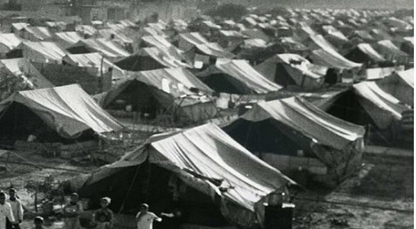 من "وعد بلفور" إلى مقصلة "الخطة دالت".. محطات الدم والنار التي هندست نكبة فلسطين عام 1948