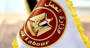 وزارة العمل تعلن عن 958 فرصة عمل جديدة في 12 محافظة.. وطريقة التقديم