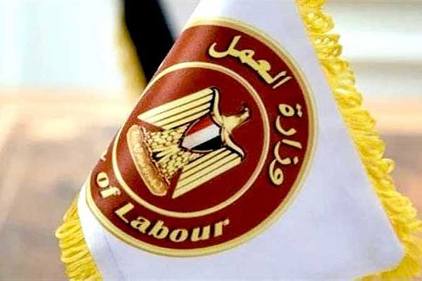 وزارة العمل تعلن عن 958 فرصة عمل جديدة في 12 محافظة.. وطريقة التقديم